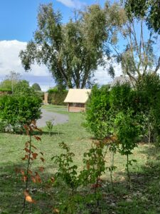 camping loire authion pres d'angers